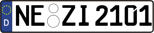 NE-ZI2101