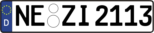 NE-ZI2113