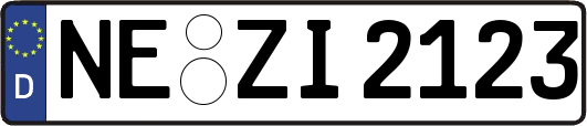 NE-ZI2123