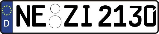 NE-ZI2130