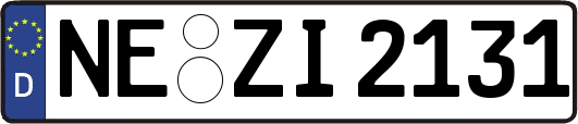 NE-ZI2131