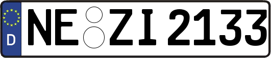 NE-ZI2133