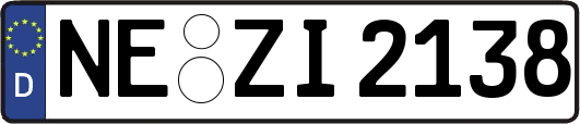 NE-ZI2138
