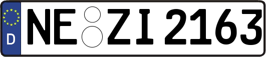 NE-ZI2163