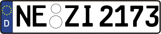 NE-ZI2173
