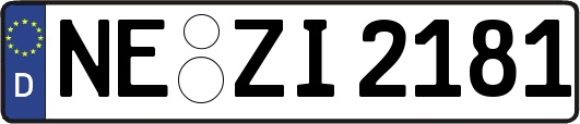 NE-ZI2181