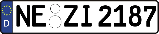NE-ZI2187