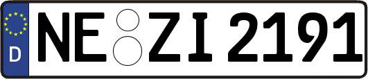 NE-ZI2191