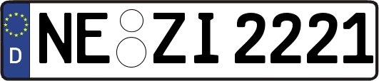 NE-ZI2221