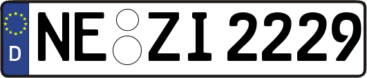 NE-ZI2229