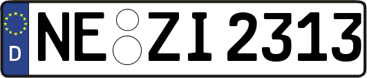 NE-ZI2313