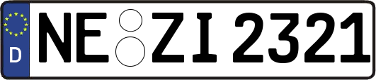 NE-ZI2321