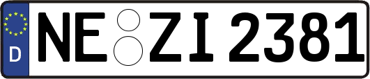NE-ZI2381