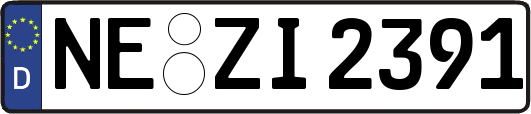 NE-ZI2391