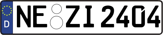 NE-ZI2404