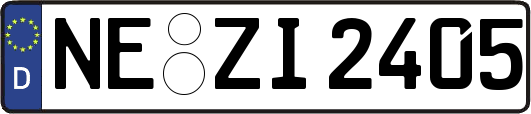 NE-ZI2405