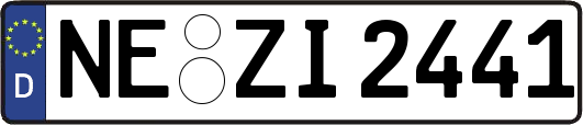 NE-ZI2441