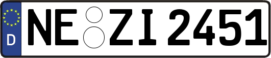 NE-ZI2451