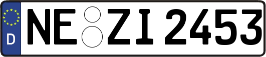 NE-ZI2453