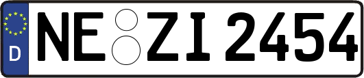 NE-ZI2454