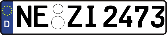 NE-ZI2473