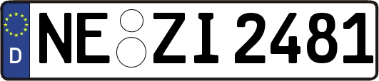 NE-ZI2481