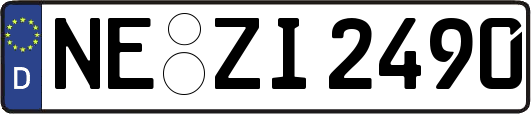 NE-ZI2490