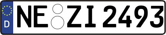 NE-ZI2493