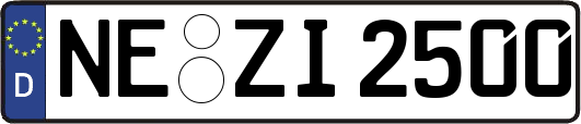 NE-ZI2500