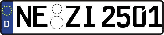 NE-ZI2501