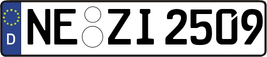 NE-ZI2509