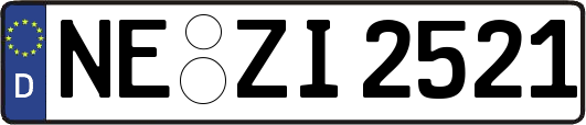 NE-ZI2521