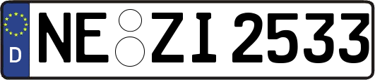 NE-ZI2533