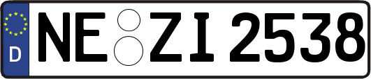 NE-ZI2538