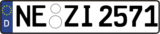 NE-ZI2571