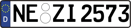 NE-ZI2573