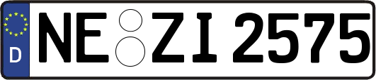 NE-ZI2575