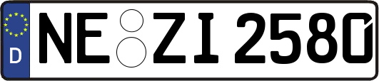 NE-ZI2580