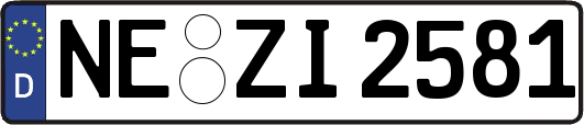 NE-ZI2581