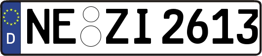 NE-ZI2613