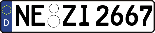 NE-ZI2667