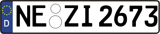 NE-ZI2673
