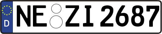 NE-ZI2687
