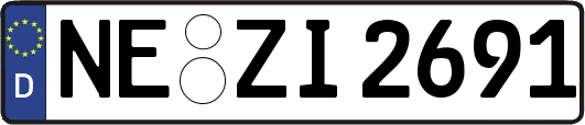 NE-ZI2691