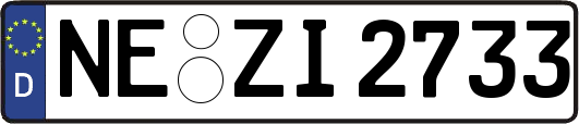 NE-ZI2733