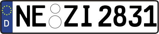 NE-ZI2831