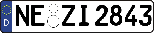 NE-ZI2843