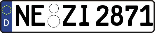 NE-ZI2871