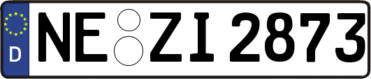 NE-ZI2873