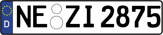NE-ZI2875